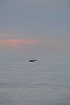 Click to see Y-200mm-6293.JPG
