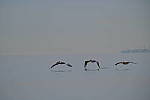 Click to see Y-200mm-6304.JPG
