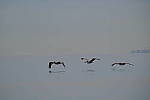Click to see Y-200mm-6305.JPG