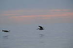 Click to see Y-200mm-6309.JPG