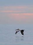 Click to see Y-200mm-6311-EDT.JPG