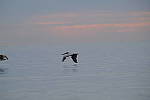 Click to see Y-200mm-6311.JPG