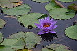 Click to see Y-EH-DSCF2558.JPG