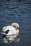 Click to see Y-WB-DSCF3378-LR_Edit.jpg