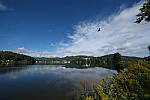 Click to see Y-WB-DSCF3443-XF8-16mmBETA.JPG
