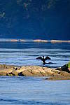 Click to see Y-WB-DSCF4345.JPG