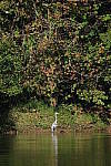 Click to see Y-WB-DSCF4370.JPG