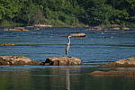 Click to see Y-WB-DSCF4379.JPG