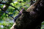 Click to see Y-WB-DSCF4467.JPG