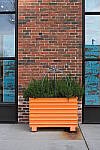 Click to see Y-BETA-DSCF1219.JPG