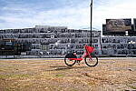 Click to see Y-BETA-DSCF1288.JPG