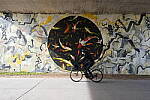 Click to see Y-BETA-DSCF1338.JPG