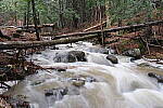 Click to see Y-JG-FUJIXF16F2-8-0825.JPG