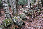 Click to see Y-JG-FUJIXF16F2-8-0840.JPG