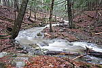 Click to see Y-JG-FUJIXF16F2-8-0859.JPG
