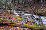Click to see Y-JG-FUJIXF16F2-8-0881-MOD.JPG