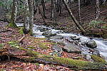 Click to see Y-JG-FUJIXF16F2-8-0881.JPG