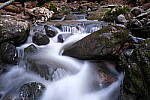 Click to see Y-JG-FUJIXF16F2-8-1432.JPG