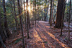 Click to see Y-JG-FUJIXF16F2-8-1438-MOD.JPG