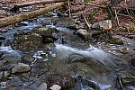 Click to see Y-JG-FUJIXF16F2-8-1443.JPG