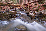 Click to see Y-JG-FUJIXF16F2-8-1449-MOD.JPG