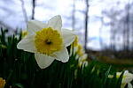 Click to see Y-JG-FUJIXF16F2-8-1543.JPG
