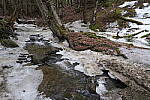 Click to see Y-JG-X-T30-0657.JPG