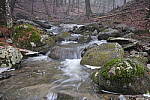 Click to see Y-JG-X-T30-0765.JPG