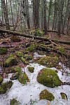 Click to see Y-JG-X-T30-0775.JPG