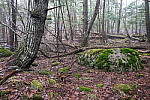 Click to see Y-JG-X-T30-0779.JPG
