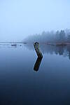 Click to see Y-JG-X-T30-0795.JPG