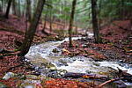 Click to see Y-JG-X-T30-0867-MINIATURE.JPG