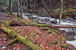 Click to see Y-JG-X-T30-0877-MOD.JPG