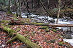 Click to see Y-JG-X-T30-0877.JPG