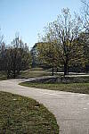 Click to see Y-WB-DSCF0067.JPG
