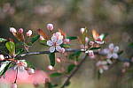 Click to see Y-WB-DSCF0091.JPG
