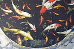 Click to see Y-WB-DSCF0245.JPG