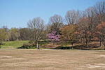 Click to see Y-WB-DSCF0261.JPG
