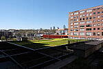 Click to see Y-WB-DSCF0345.JPG