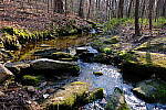 Click to see Y-WB-DSCF0386.JPG