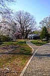 Click to see Y-WB-DSCF0458.JPG
