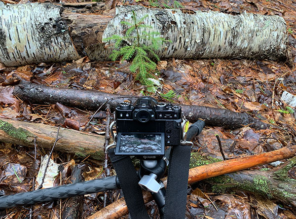 Fuji X-T30 Review: Field Test -- Product Image