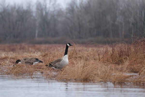 Fuji X-T30 Review: Field Test -- Gallery Image