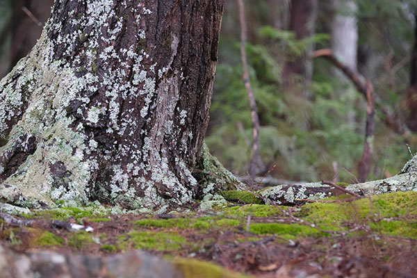 Fuji X-T30 Review: Field Test -- Gallery Image
