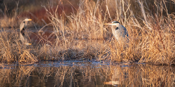 Fuji X-T30 Review: Field Test -- Gallery Image