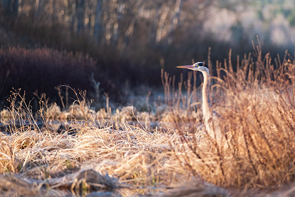 Fuji X-T30 Review: Field Test -- Gallery Image