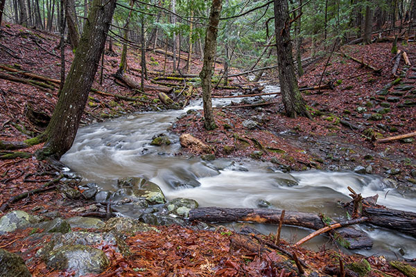 Fuji X-T30 Review: Field Test -- Gallery Image