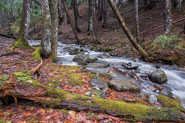 Fuji X-T30 Review: Field Test -- Gallery Image