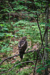 Click to see DSCF0530-XT4-100_400-400mm_Test 1.jpg