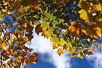 Click to see Y-JG-XF-50MM-F1-0063.JPG